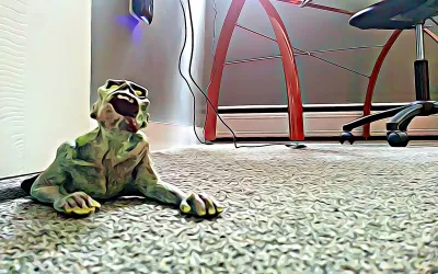Door Stop